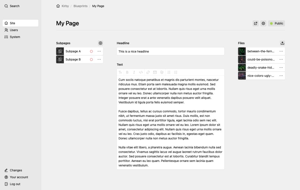 Three-column layout with sidebars on the right (pages section) and on the left (files section) and form fields in the middle.