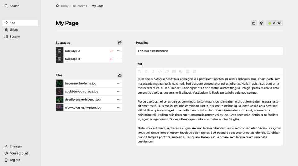 Two-column layout with sidebar on the left (pages and files sections) and form fields on the right.