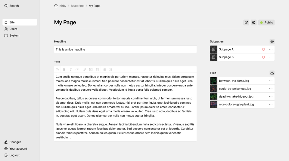 Two-column layout with sidebar on the right (pages and files sections) and form fields on the left.